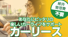 ナイスカーリース｜レンタカー・カーリース！法人対応あり｜茨城県つくば市・ひたちなか市・水戸市・日立市