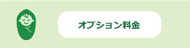 オプション料金